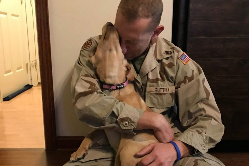 Tails of Valor, Paws of Honor