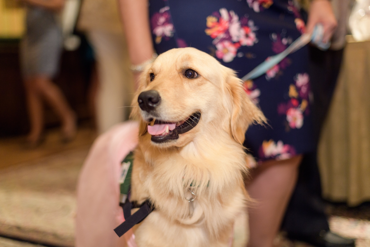 Penn State Children’s Hospital Facility Dog Program