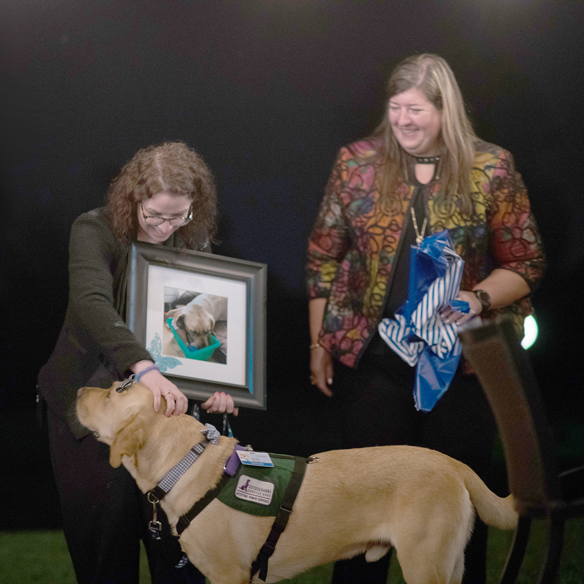 Children’s Hospital of Philadelphia Facility Dog