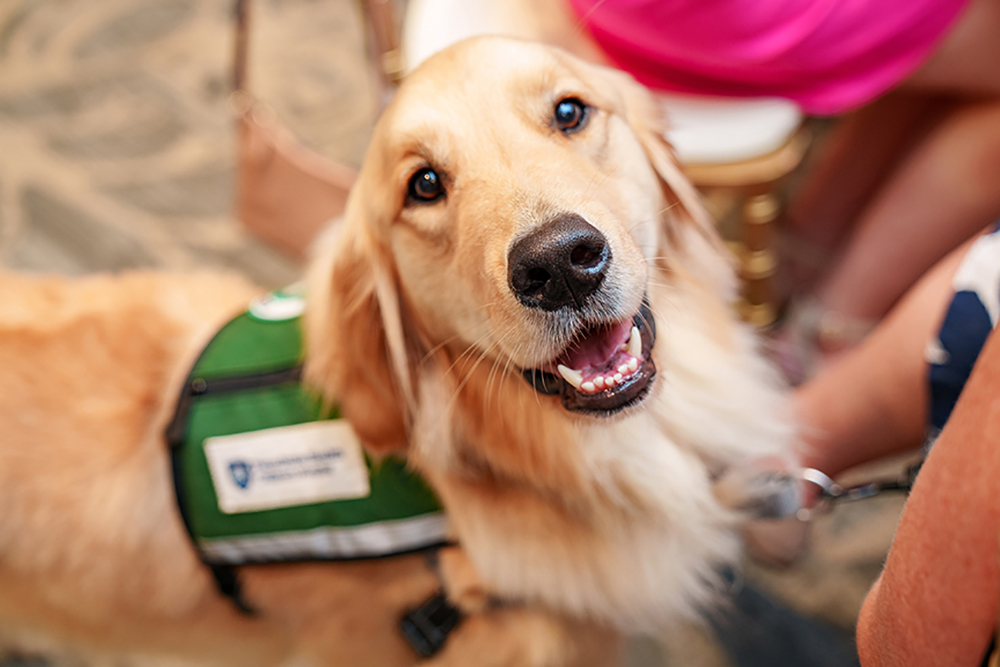 Hospice & Community Care’s Sunflower Pediatric Program and Penn State Children’s Hospital Facility Dog Program
