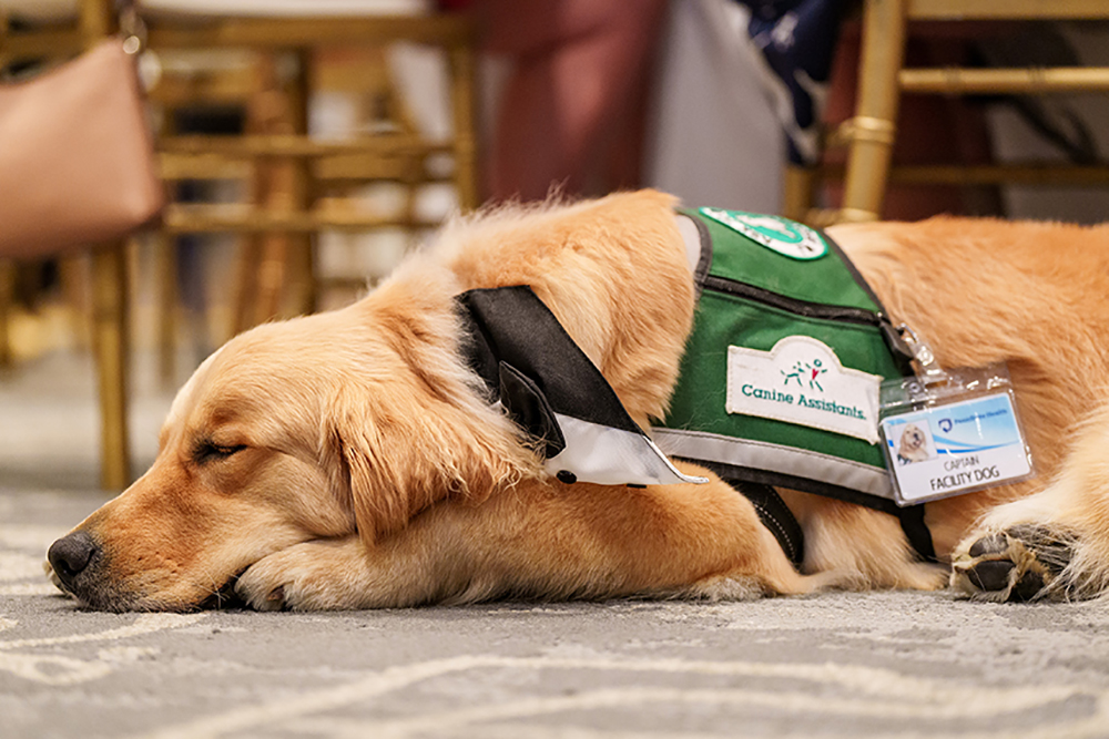 Hospice & Community Care’s Sunflower Pediatric Program and Penn State Children’s Hospital Facility Dog Program